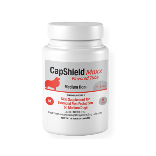CapShield Maxx Flavored Tabs for medium dogs 26-45 lbs