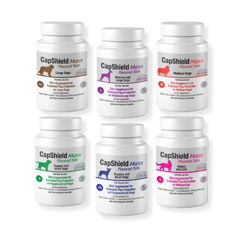 CapShield Maxx monthly flea tablets for dogs and cats
