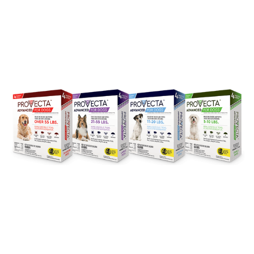 Provecta Advanced for Dogs 5-10 lbs, 11-20 lbs, 21-55 lbs, 55+ lbs. Repels and kills fleas and ticks