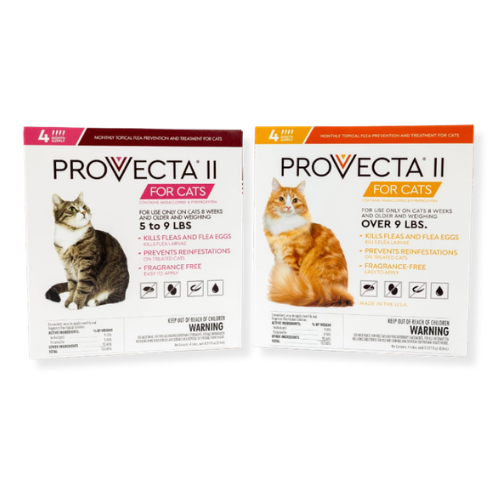 Provecta II for Cats and kittens kills adult fleas and flea eggs