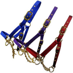 Pet Store Stuff - Valhoma® Control Halter with Chain