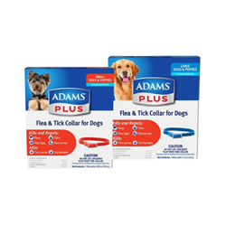 Pet Store Stuff - Adams™ Plus Flea & Tick Collar for Dogs