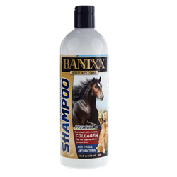 PSS - Banixx® Medicated Pet Shampoo