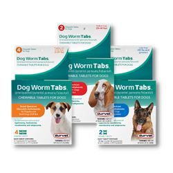 PSS - Durvet® Dog Worm Tabs
