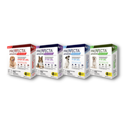 PSS - Provecta® Advanced for Dogs (4 ct.)