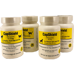 CapShield© CapShield, RXJ, nitenpyram supplement, flea killer, fast flea killer, flea killer tablet, Pet Supplies, dog supplies, cat supplies, flea preventative, capstar